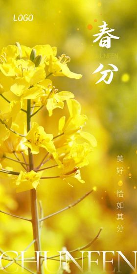 中国传统节日二十四节气海报春分