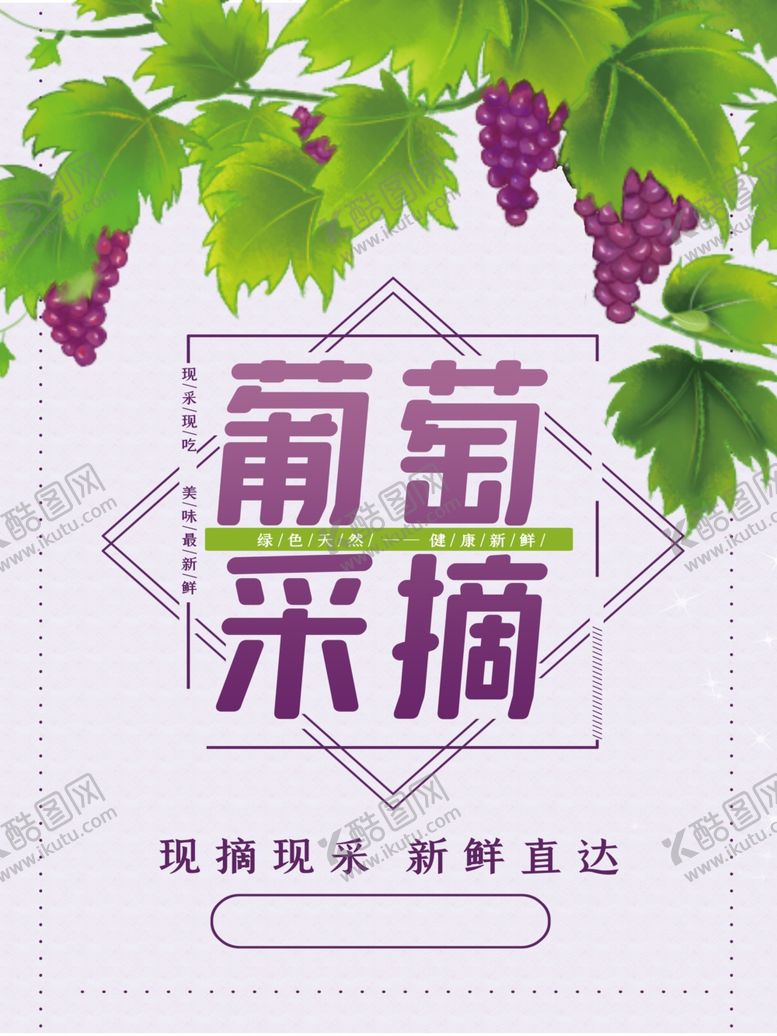编号：85716905132252564362【酷图网】源文件下载-葡萄采摘