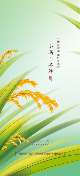 芒种小满24节气海报