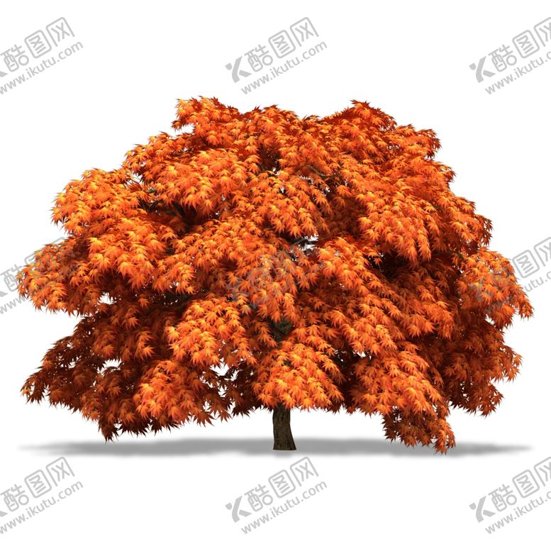 编号：15701909192220344906【酷图网】源文件下载-树木