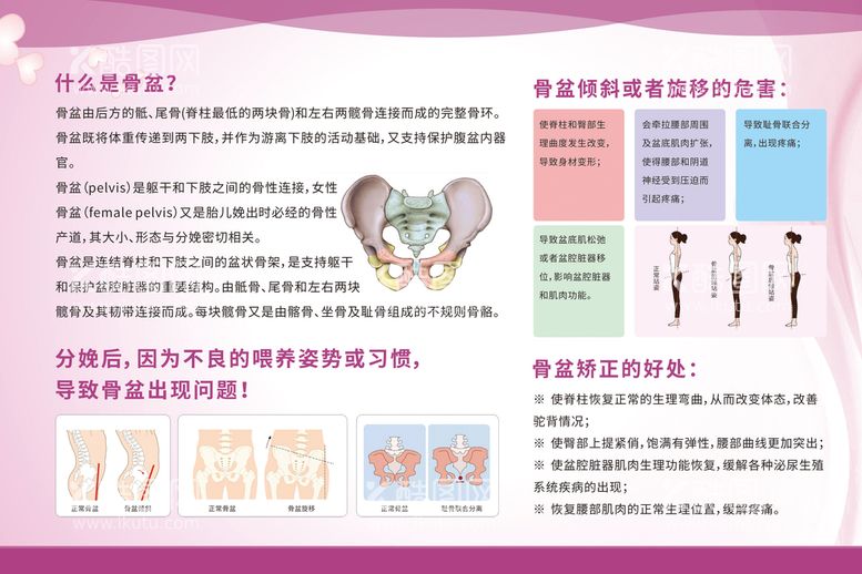 编号：47260510100031336790【酷图网】源文件下载-骨盆修复展板