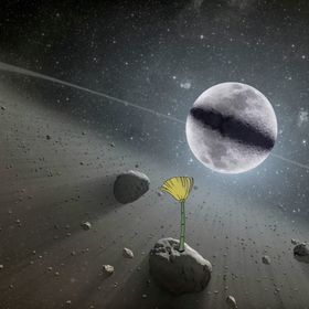 立扫把