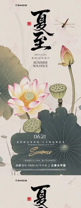 夏至荷花海报