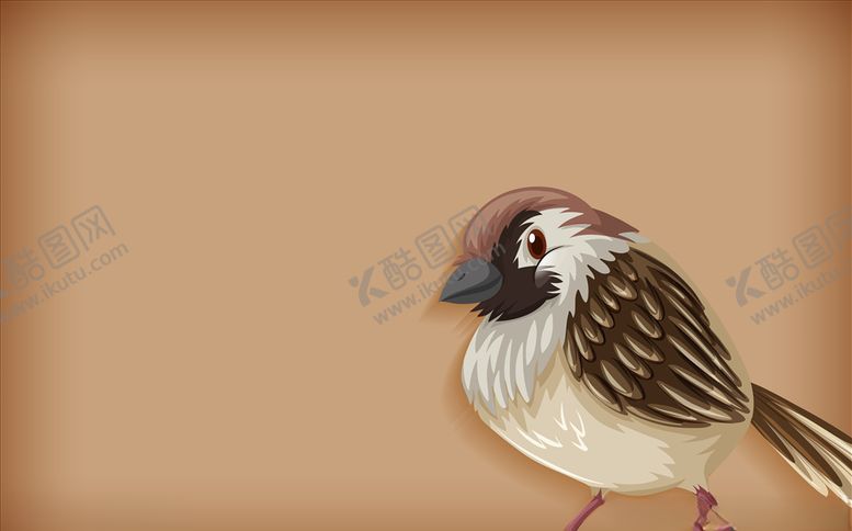 编号：35481909252353117790【酷图网】源文件下载-鸟类彩绘