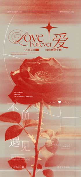 520情人节玫瑰花