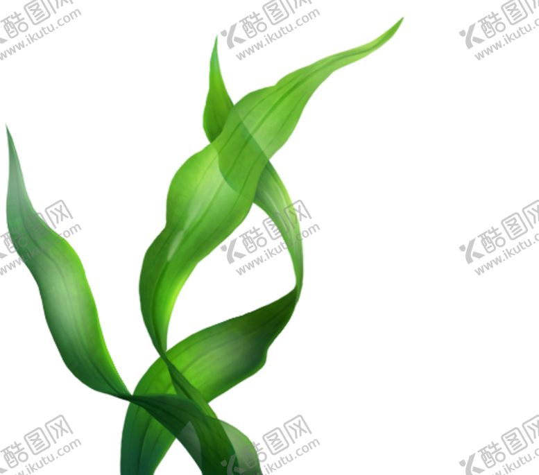 编号：37032107042144002741【酷图网】源文件下载-海草