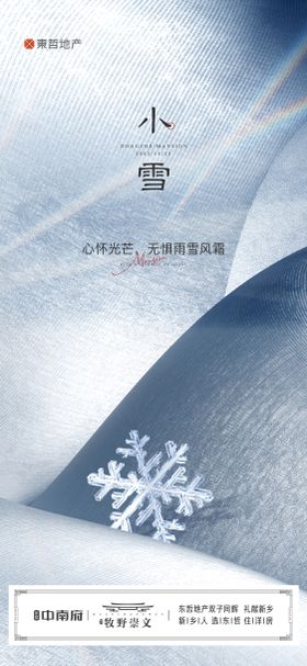 地产中式小雪大雪小寒大寒节日节气海报