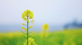 个性背景动感背景