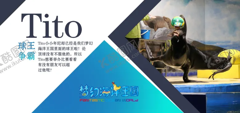 编号：99160102071521093188【酷图网】源文件下载-海狮横版海报