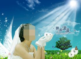 影楼婚纱相册模板