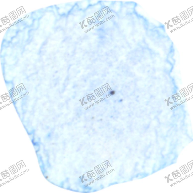 编号：62811409260745252743【酷图网】源文件下载-水彩手绘花卉花朵植物