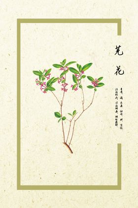 芫花