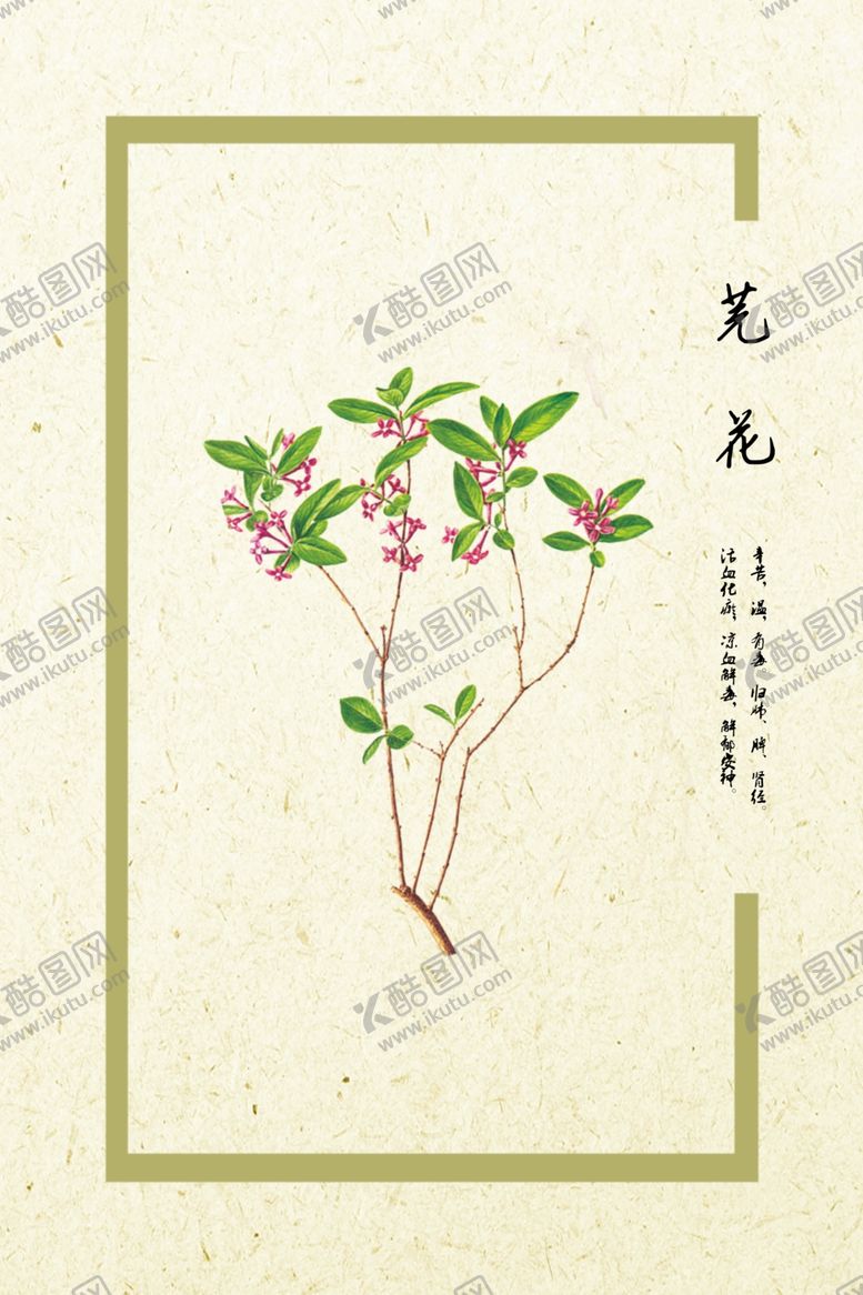 编号：66617306162216308604【酷图网】源文件下载-芫花