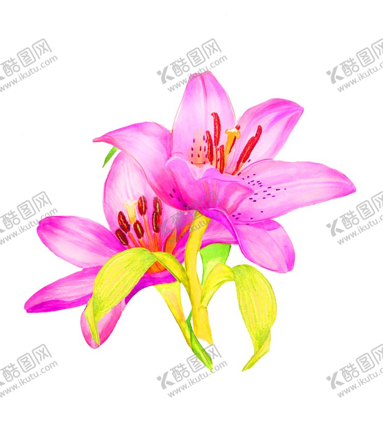 编号：50671909192206509510【酷图网】源文件下载-花素材