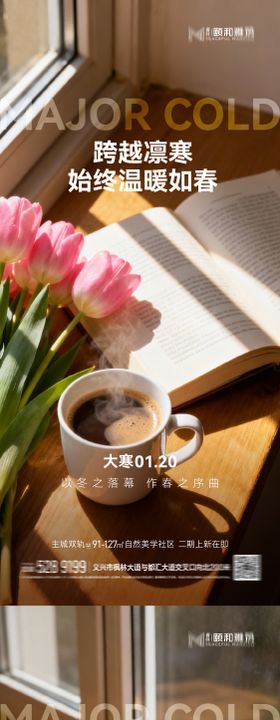 大寒节气节日海报