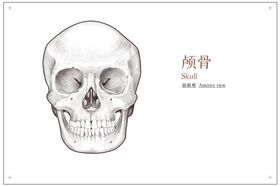 心理健康安全社会公益展板素材