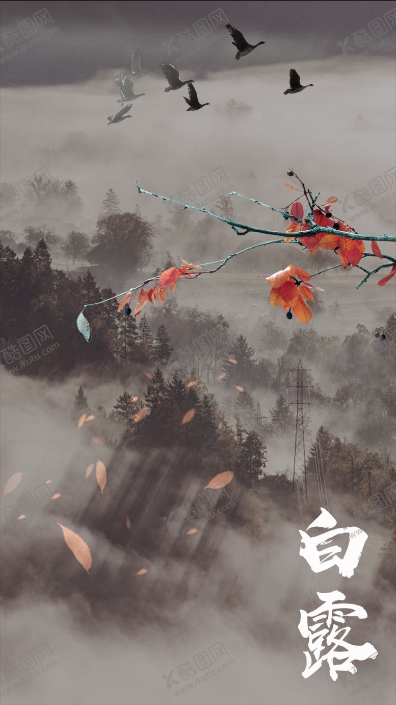 编号：18452609290033252594【酷图网】源文件下载-白露节气PSD海报