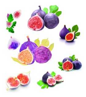 无花果免扣素材