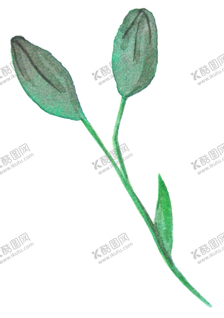 编号：23809409201824536618【酷图网】源文件下载-彩绘枝叶