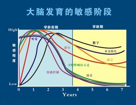 大脑发育敏感阶段展板