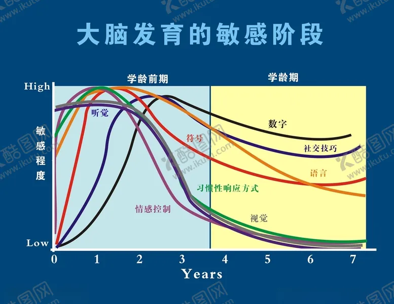 编号：18603701280428509981【酷图网】源文件下载-大脑发育敏感阶段展板