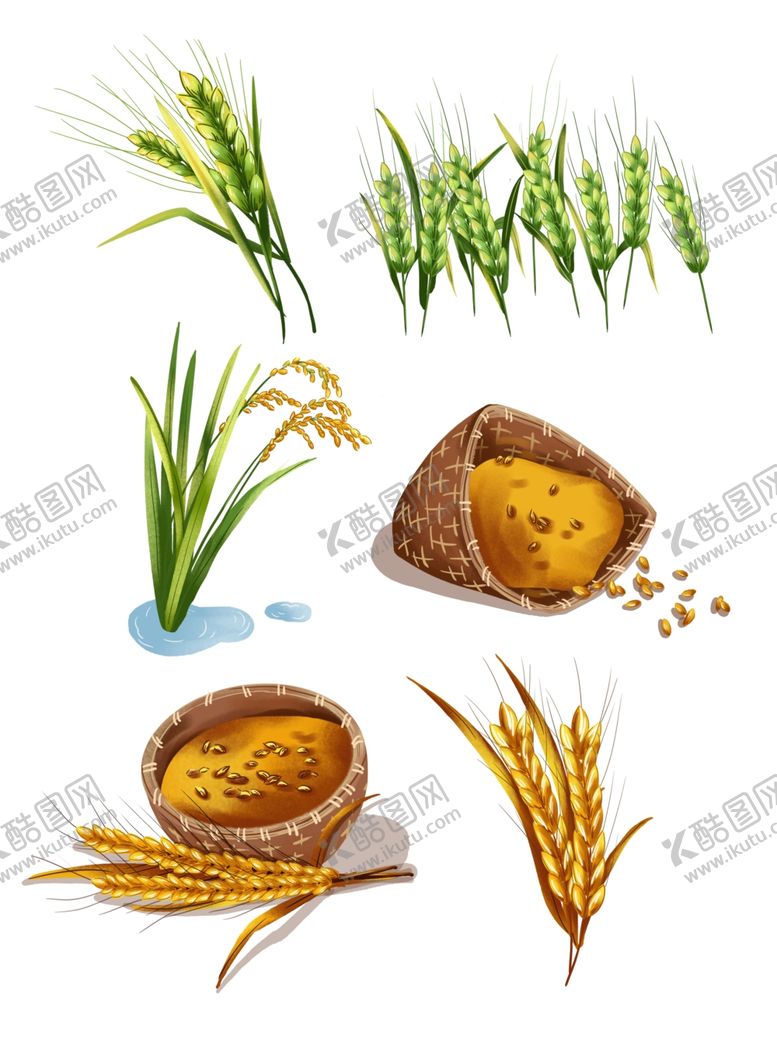 编号：56375105160336045222【酷图网】源文件下载-小麦粮食拒绝浪费素材