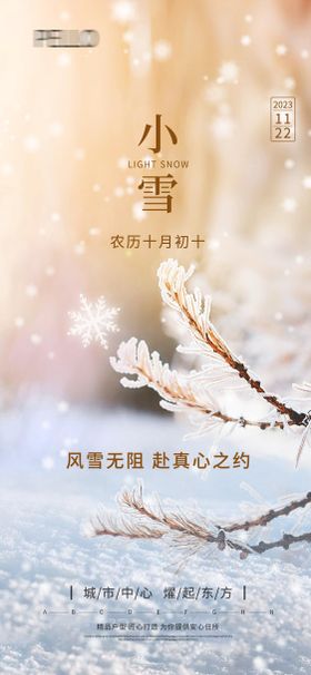 地产小雪大雪雪景海报