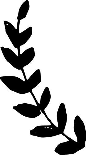 手绘植物枝干