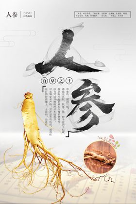 中国风小清新人参宣传海报