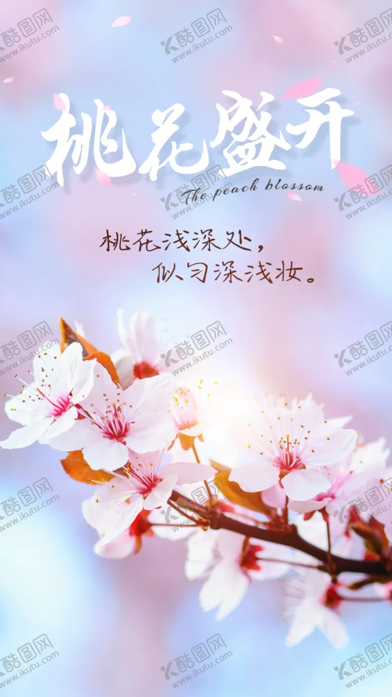 编号：24213710230500386266【酷图网】源文件下载-桃花盛开