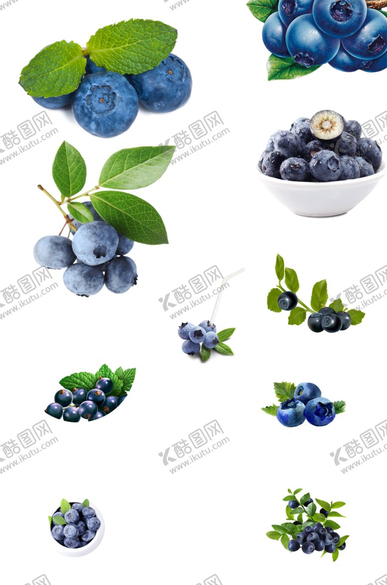 编号：72583110050147520156【酷图网】源文件下载-水果蓝莓素材