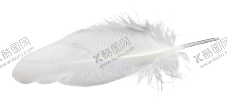 编号：67870310121541125404【酷图网】源文件下载-白色羽毛漂浮素材