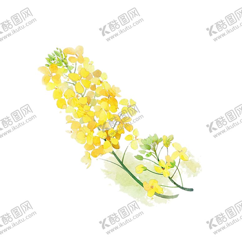 编号：78304410222123326296【酷图网】源文件下载-手绘植物花卉