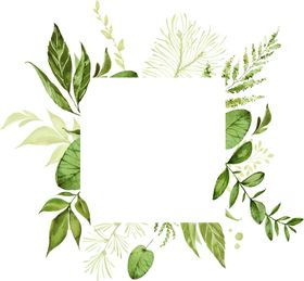 叶子背景手绘植物