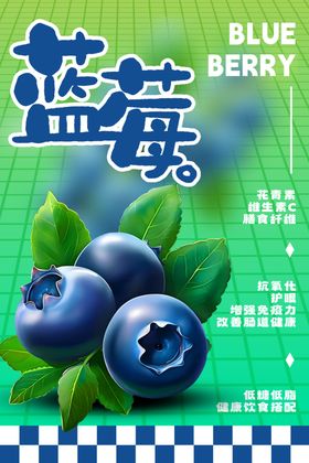 新鲜蓝莓包装设计展示