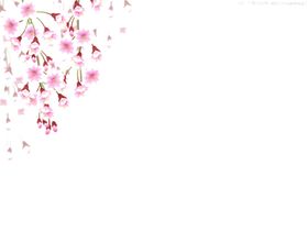 手绘粉色樱花免扣素材图片