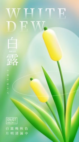 白露海报 中国风  传统节日 素材二十四节气