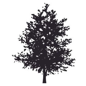 黑色植物树木剪影