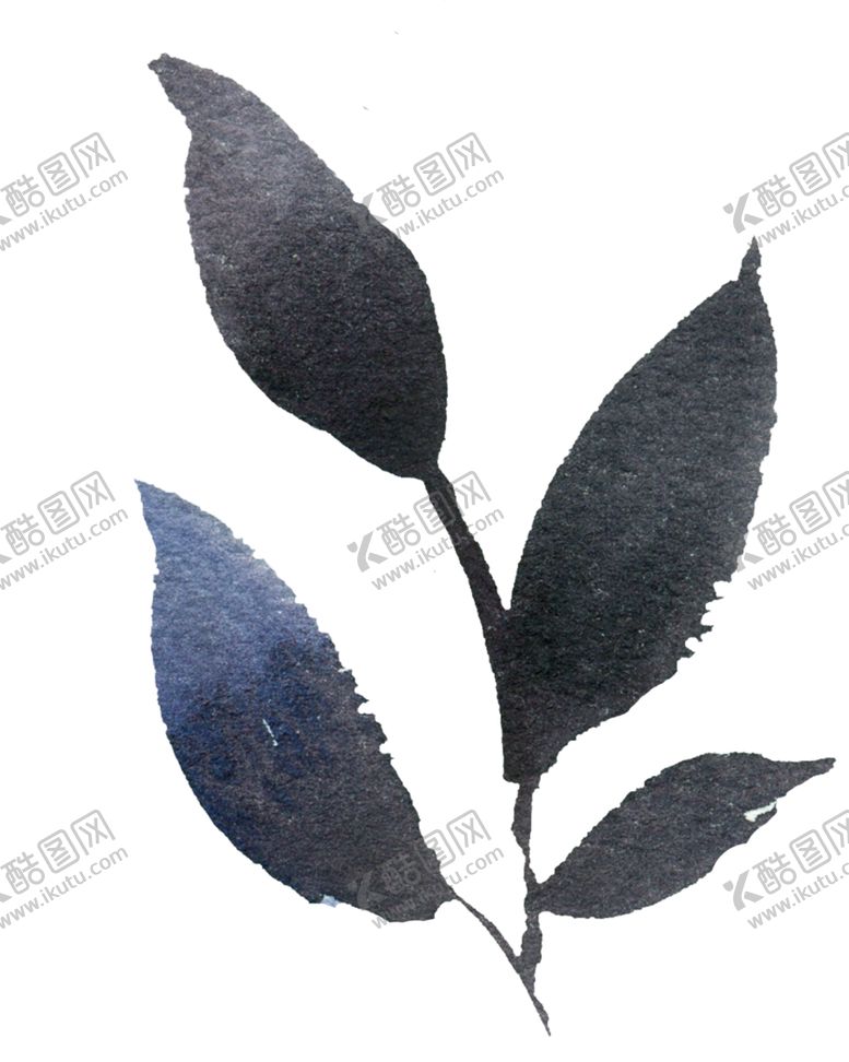 编号：90581102091115091109【酷图网】源文件下载-花叶 