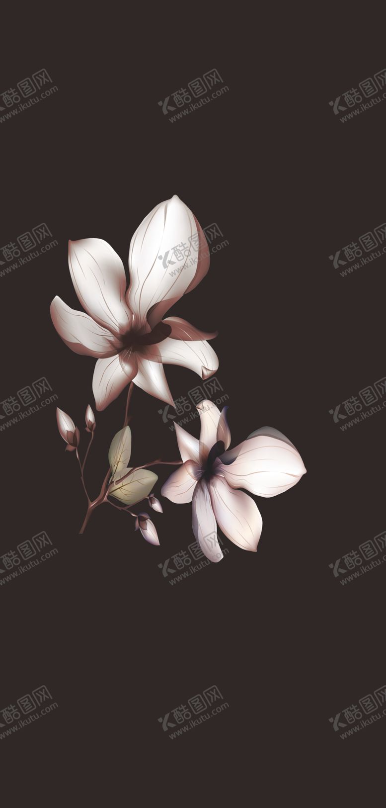 编号：10558809260755307400【酷图网】源文件下载-数码印花