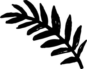 手绘植物枝干