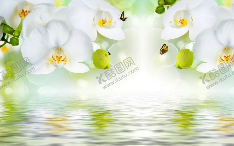 编号：68862905141936074842【酷图网】源文件下载-水影梅花白色梅花蝴蝶