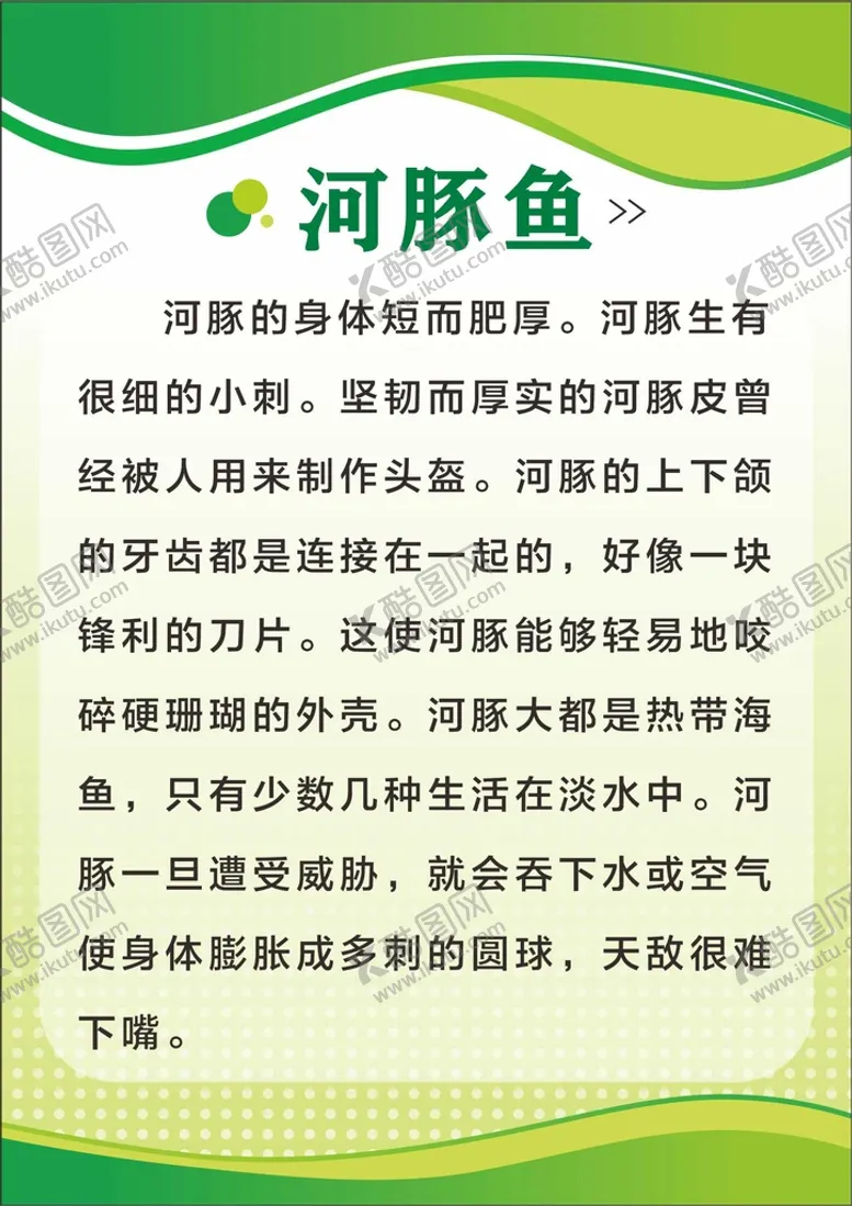 编号：18262910201420482300【酷图网】源文件下载-河豚鱼介绍
