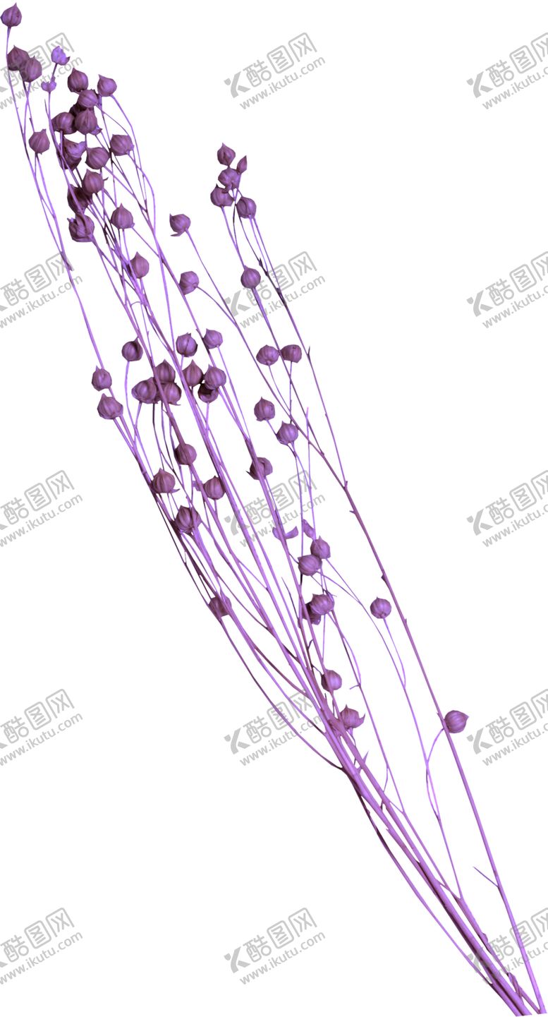 编号：66551505110323298661【酷图网】源文件下载-花边