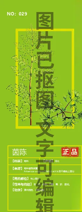 茵陈