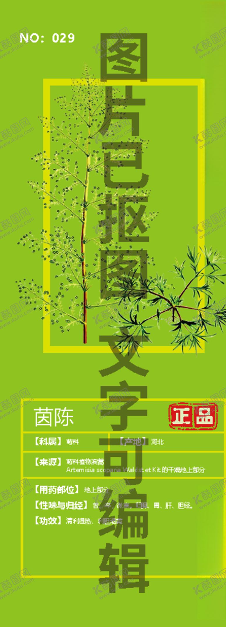 编号：57302506250540509063【酷图网】源文件下载-茵陈