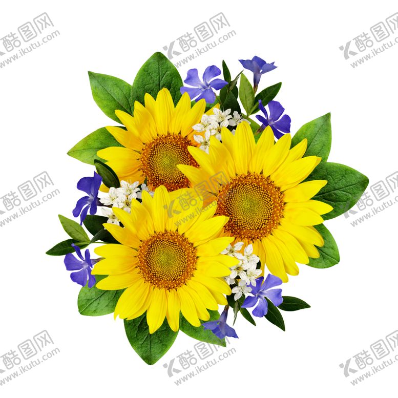 编号：42822207022233527391【酷图网】源文件下载-向日葵