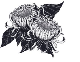 纯色绘画植物花朵