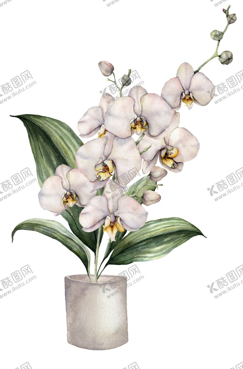 编号：82445206160929482555【酷图网】源文件下载-植物花朵装饰图案
