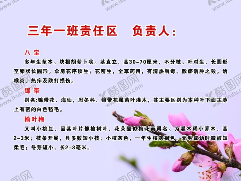 编号：78485506170044391763【酷图网】源文件下载-植物宣传